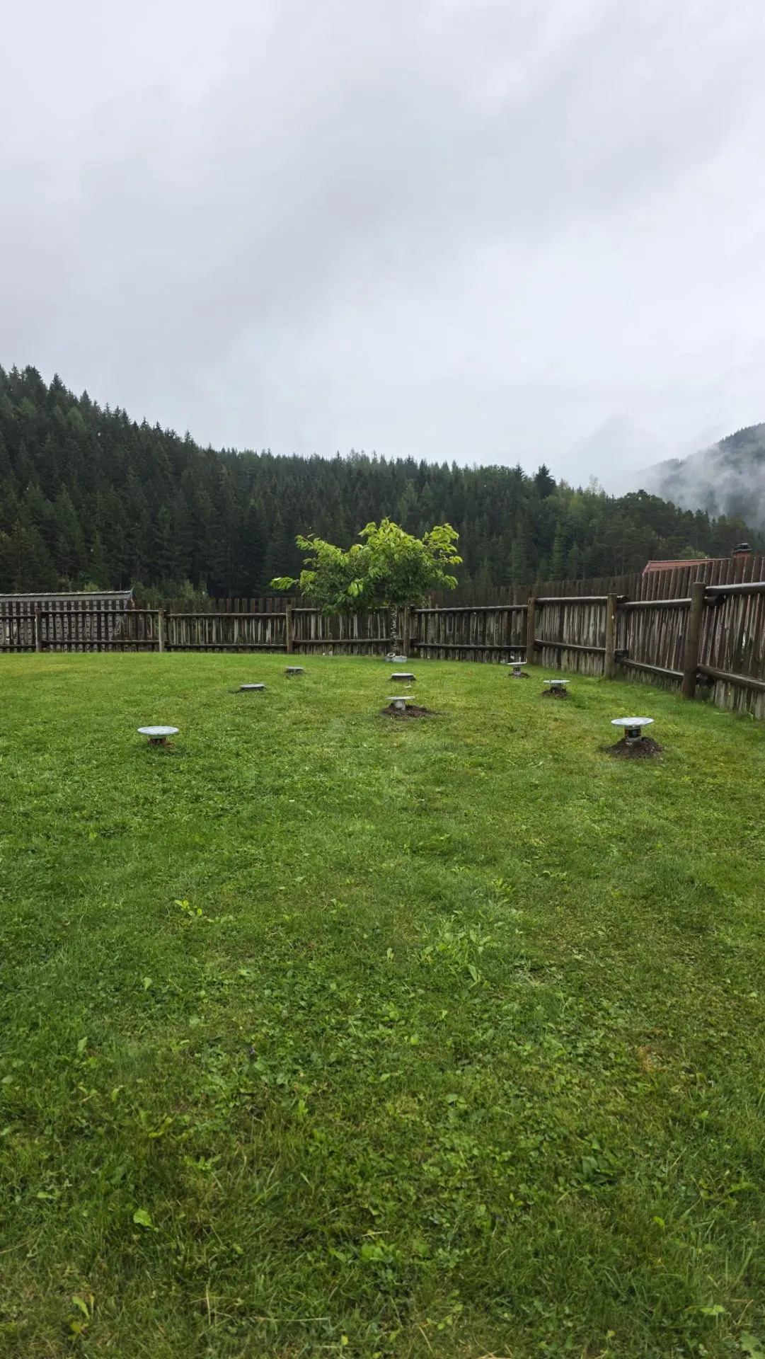 Gesetzte Schraubfundamente mit Kopfplatten in einer Rasenfläche